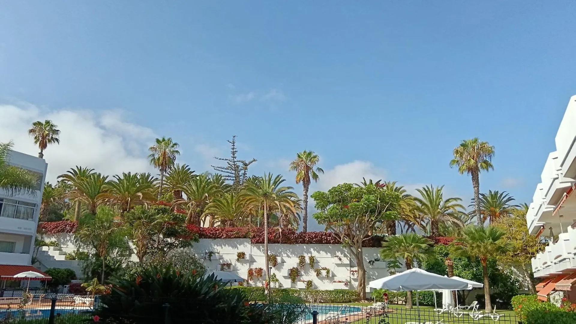 Molino Blanco 107 Apartamento Puerto de la Cruz