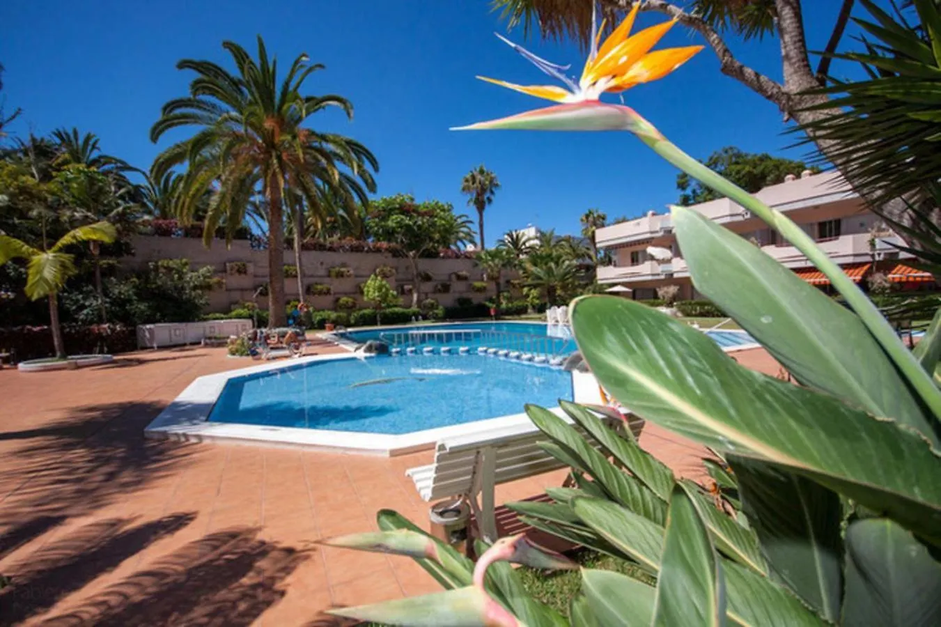 Molino Blanco 107 Apartamento Puerto de la Cruz  0*, Puerto de la Cruz (Tenerife) Espanha